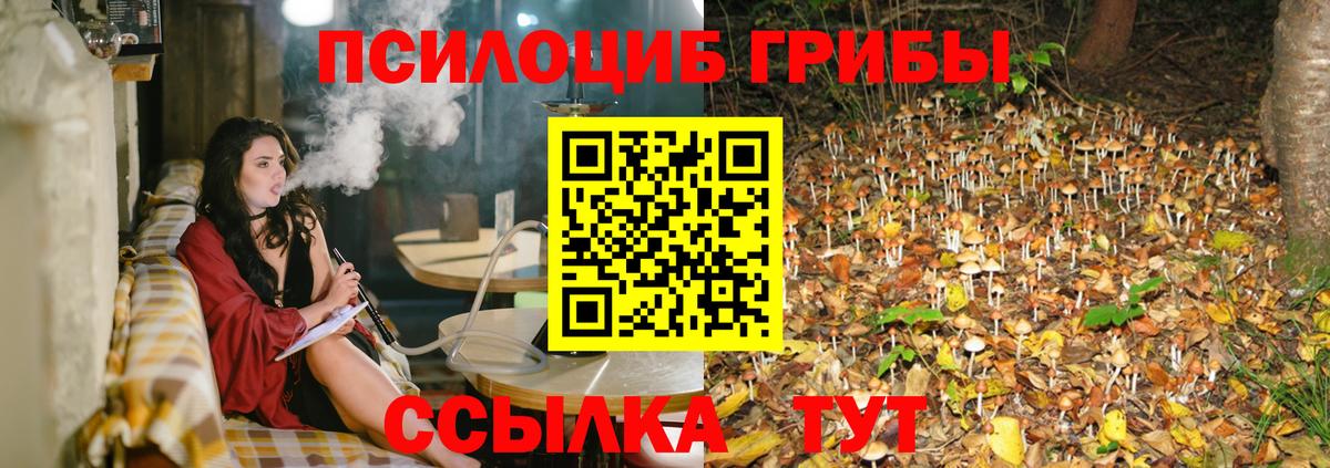 Псилоцибиновые грибы мухоморы Карачаевск