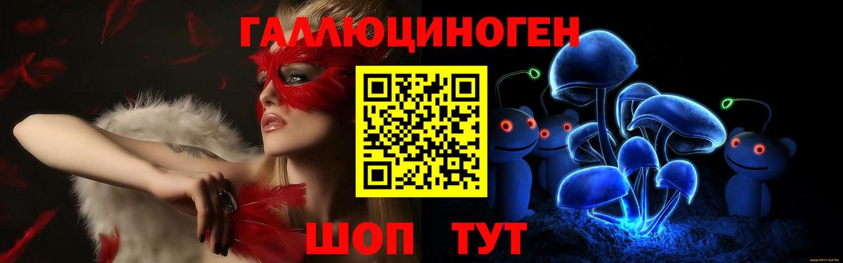 Карачаевск  Галлюциногенные грибы ЛСД  Вход с VPN 